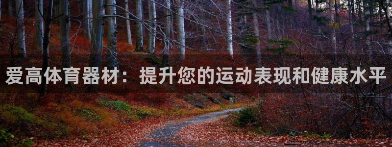 极悦平台官方网站首页登录：爱高体育器材：提升您的运动