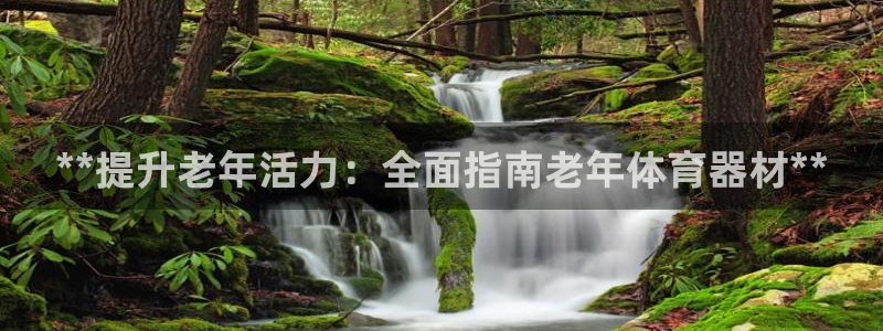 极悦平台安全吗：**提升老年活力：全面指南老年体育器