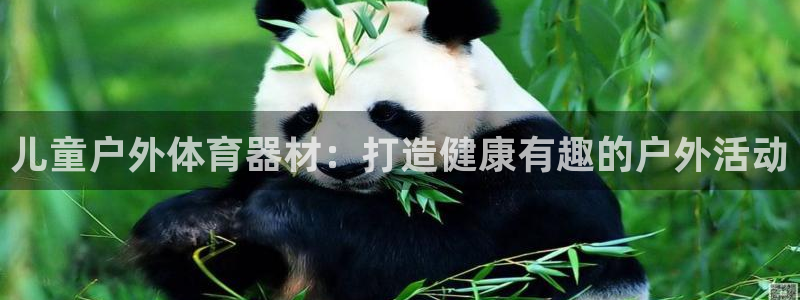 极悦平台客服的联系方式是什么：儿童户外体育器材：打造