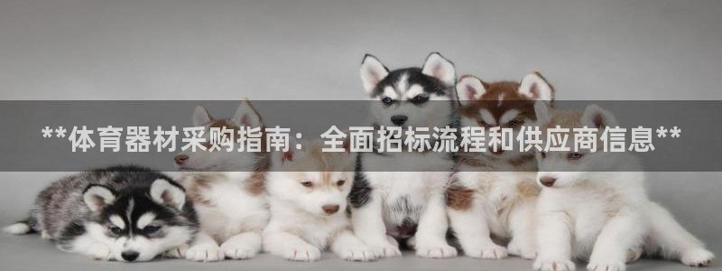极悦平台官方网站首页：**体育器材采购指南：全面招标