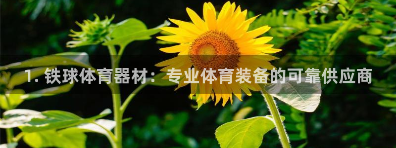 极悦娱乐公司最新招聘信息电话：1. 铁球体育器材：专