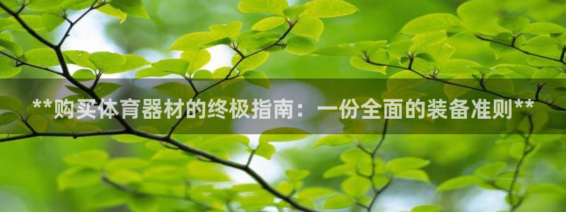极悦娱乐的创始人背景故事：**购买体育器材的终极指南