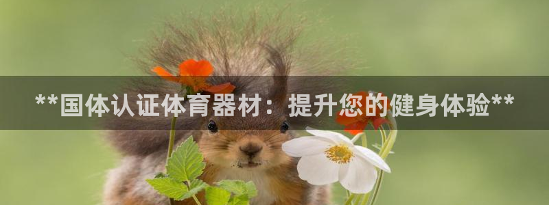 极悦平台注册官方网站下载安卓版：**国体认证体育器材