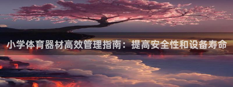 极悦平台官方网站下载安卓：小学体育器材高效管理指南：