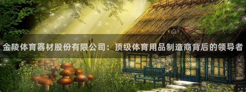 极悦平台官方网站登录：金陵体育器材股份有限公司：顶级