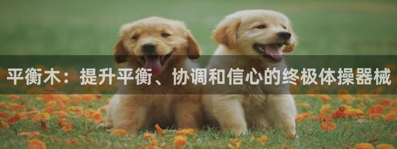 极悦平台注册用户名格式是什么：平衡木：提升平衡、协调