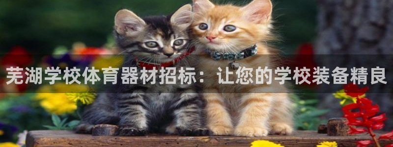 极悦娱乐的创始人背景故事简介：芜湖学校体育器材招标：