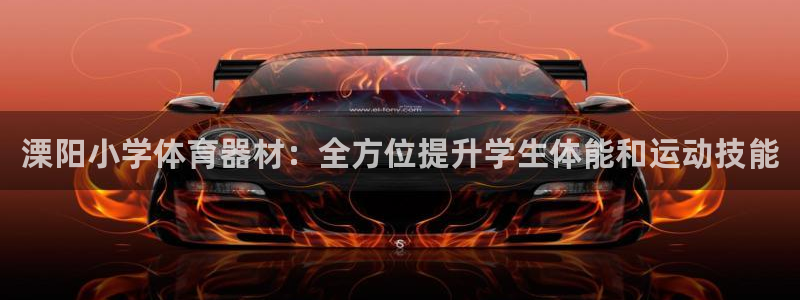 极悦娱乐代理怎么样：溧阳小学体育器材：全方位提升学生