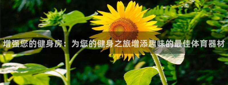 极悦平台官网登录入口网址：增强您的健身房：为您的健身
