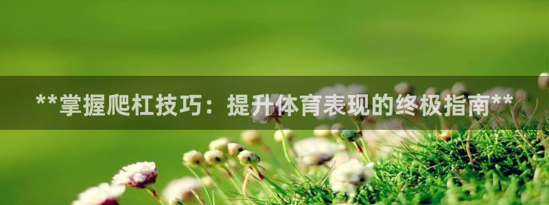 极悦娱乐代理多少钱：**掌握爬杠技巧：提升体育表现的