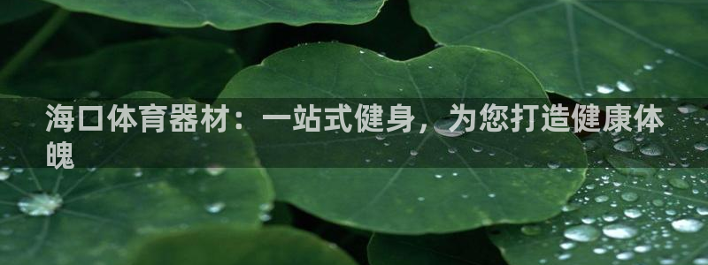 极悦平台有风险吗安全吗：海口体育器材：一站式健身，为