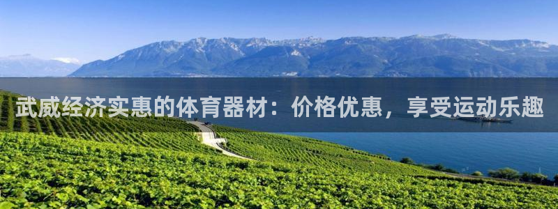 极悦平台下载安装：武威经济实惠的体育器材：价格优惠，