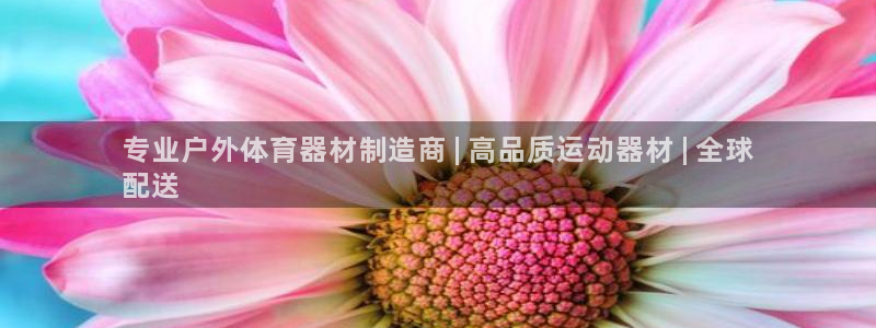 极悦平台官方网址：专业户外体育器材制造商 | 高品质