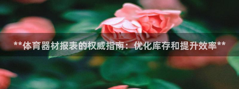 极悦平台客服团队怎么样：**体育器材报表的权威指南：
