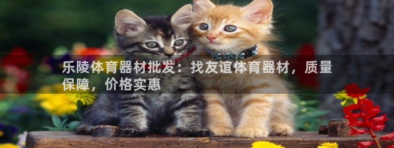 极悦平台是干什么的公司：乐陵体育器材批发：找友谊体育