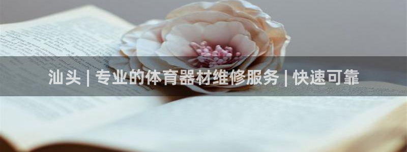 极悦平台注册流程图：汕头 | 专业的体育器材维修服务