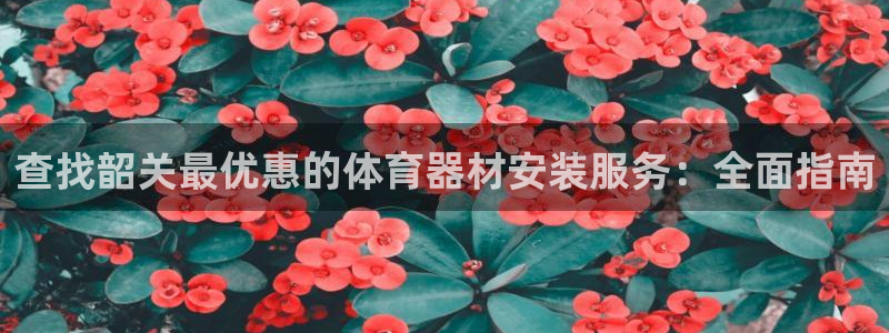 极悦娱乐会被骗吗是真的吗：查找韶关最优惠的体育器材安