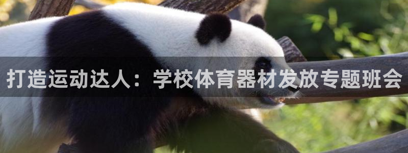 极悦官网首页登录入口：打造运动达人：学校体育器材发放