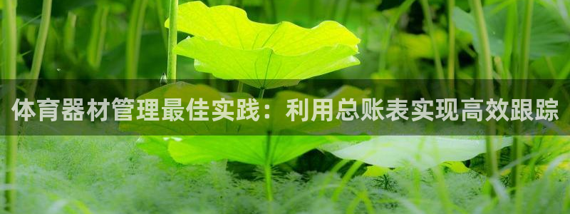 极悦平台官方网站首页登录：体育器材管理最佳实践：利用