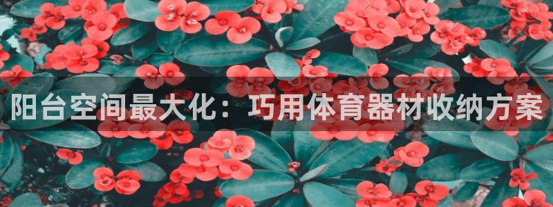 极悦娱乐的创始人背景故事是什么：阳台空间最大化：巧用
