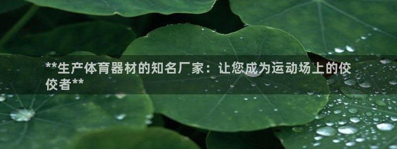极悦平台注册资金多少亿：**生产体育器材的知名厂家：