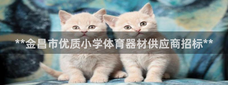 极悦娱乐代理多少钱一年：**金昌市优质小学体育器材供