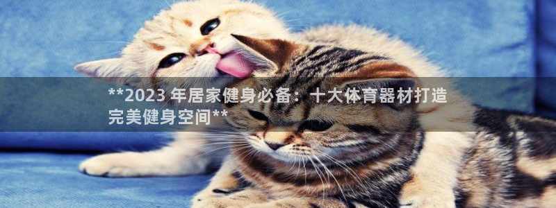 无锡极悦科技有限公司：**2023 年居家健身必备：