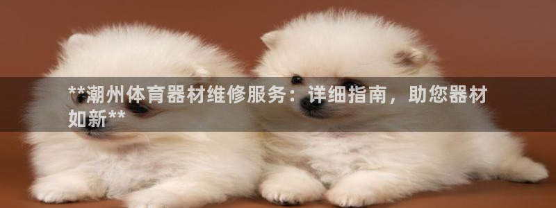 极悦平台：**潮州体育器材维修服务：详细指南，助您器