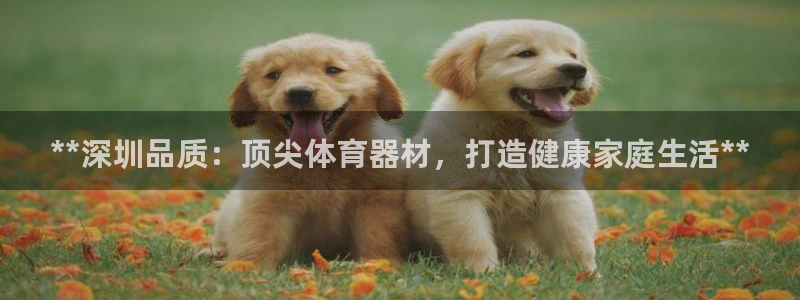 极悦平台官方网站下载：**深圳品质：顶尖体育器材，打