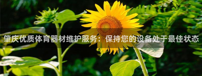 极悦平台看7O777：肇庆优质体育器材维护服务：保持