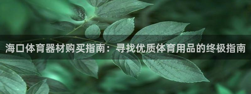 极悦平台官网下载中心网址：海口体育器材购买指南：寻找