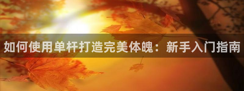 极悦平台注册官网网址：如何使用单杆打造完美体魄：新手