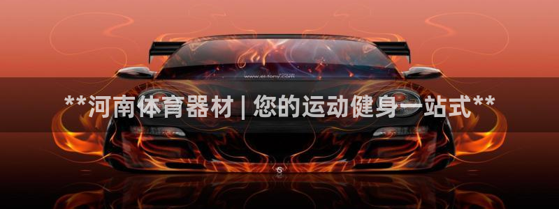 极悦平台用户评价与反馈：**河南体育器材 | 您的运