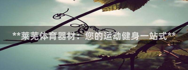 极悦娱乐官网入口网址：**莱芜体育器材：您的运动健身