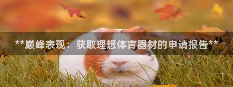 极悦平台有风险吗现在：**巅峰表现：获取理想体育器材