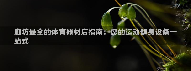极悦平台和蓝狮平台区别：廊坊最全的体育器材店指南：您