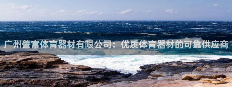 极悦平台与网易合作详情：广州肇富体育器材有限公司：优