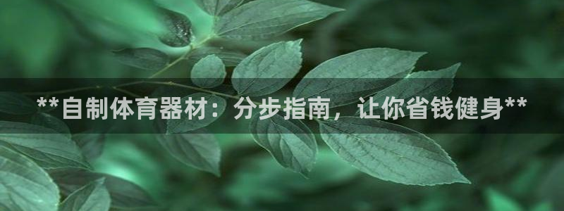 极悦官网首页登录入口：**自制体育器材：分步指南，让