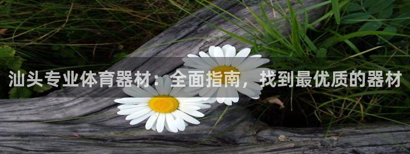 极悦娱乐官网下载安装：汕头专业体育器材：全面指南，找