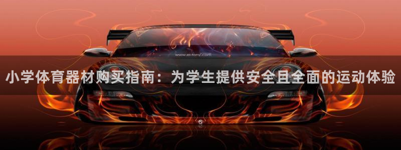 极悦平台官方网址查询：小学体育器材购买指南：为学生提