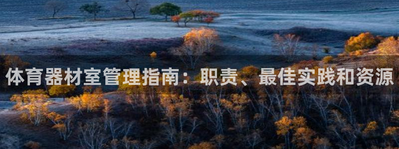 极悦平台注册用户名生成器下载：体育器材室管理指南：职