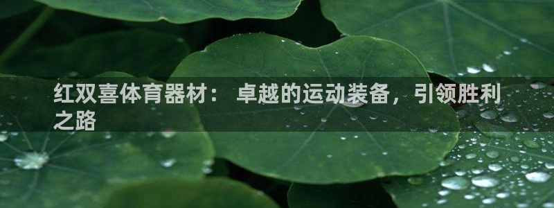 极悦娱乐公司最新招聘信息：红双喜体育器材： 卓越的运