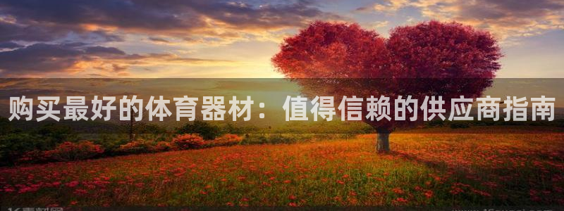 极悦平台官方网站首页入口：购买最好的体育器材：值得信