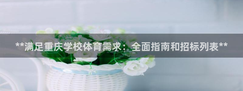 极悦平台注册流程图片：**满足重庆学校体育需求：全面