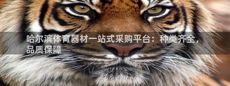 极悦平台是干什么的公司：哈尔滨体育器材一站式采购平台