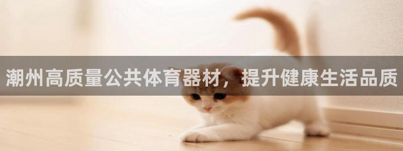 极悦平台保7O777：潮州高质量公共体育器材，提升健