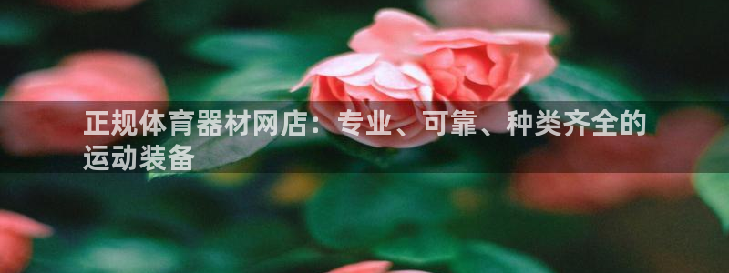 极悦娱乐官网客服联系方式：正规体育器材网店：专业、可