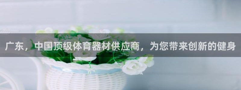 极悦平台安全吗是真的吗：广东，中国顶级体育器材供应商