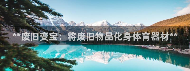 极悦平台是干什么的公司：**废旧变宝：将废旧物品化身