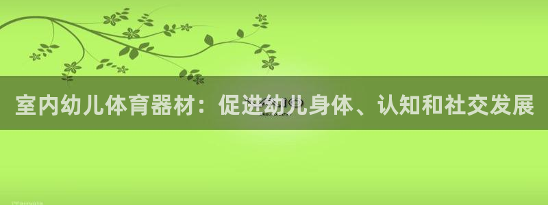 极悦官网首页：室内幼儿体育器材：促进幼儿身体、认知和
